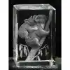 3D Kristal Koala Modeli