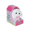 47100 Sevimli Köpek Maltese