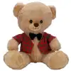 4810 SUN-JNH-PFF-SK PELUŞ AYI ELBİSELİ 32CM 2A