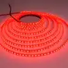 5 METRE CATA CT 4482 10 Çip İç Mekan Şerit Led Kırmızı 12V