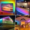 5 METRE CATA CT 4545 3 Çipli İç Mekan Şerit Led Rgb