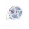 5 METRE CT 4480 Cata 10 Çip İç Mekan Şerit Led Beyaz 12V