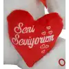 50 CM KALPLİ AYI HALLEY