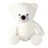5094 Ekru Peluş Ayı 40 cm