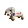 62203 PELUŞ 45 CM AŞIK KÖPEK YASTIK -HLY