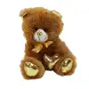 62500 Parlak Kalpli Peluş Ayı 30 cm