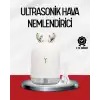 El Tipi Usb Mini Soğuk Mist Nemlendirici 220 ml Tank