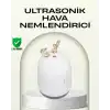 Abs+pp Malzemeli Taşınabilir 220 ml Usb Mist Nemlendirici