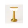 Gold Silindir Şarjlı Masa Lambası Modern Dekoratif LED Kablosuz Metal Abajur Modeli