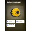 Yuvarlak Kafalı 3 Parça Matkap Temizlik Fırçası Seti Banyo Mutfak Araba Koltuk BX-313450