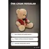 Elbiseli 32 cm Peluş Ayı Oyuncak – Yumuşak Dolgulu Sevimli Hediye ve Aksesuar BX-313532