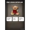 Elbiseli 32 cm Peluş Ayı Oyuncak – Yumuşak Dolgulu Sevimli Hediye ve Aksesuar BX-313532