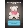 43 Cm T-Shirt Giydirilmiş Peluş Ayı Oyuncak - Yumuşak Seçenekli BX-313535