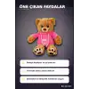 Renkli Kapüşonlu Sweatshirt Giyen 30 cm Peluş Ayı Oyuncak Hediyelik BX-313551