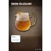 550 Ml Borosilikat Cam Demlik Isıya Dayanıklı Dokulu Gövdeli Kapaklı Detay BX-313780