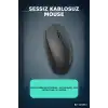 Sessiz Kablosuz Mouse - 43 Gr Hafif USB Optik Fare, 10 Metre Çekim Alanı BX-315972