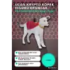 Uçan Krypto Köpek Figürü 19 cm DC Comics Superman - Elle Yönlendirilen Oyuncak BX-316272