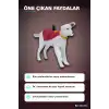 Uçan Krypto Köpek Figürü 19 cm DC Comics Superman - Elle Yönlendirilen Oyuncak BX-316272