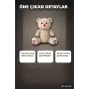 Oturan Ayı Peluş Oyuncak 50 cm Boyutunda Sevimli Çocuk ve Bebek Hediyesi BX-316342