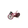 7631 KUTUDA 12Lİ BİSİKLET
