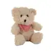 78754 Peluş 22 Cm Fularlı Atkılı Ayı