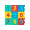 9 Parça Sayılar Puzzle Yer Matı