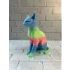Açık Rainbow Kedi