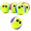 At Getir Köpek Eğitim Topu Bx40