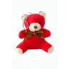 Ayıcık Peluş Çanta Anahtarlık 12 cm