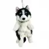 B&D Büyük Köpek Sırt Çantası