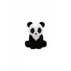 BAMBOO PANDA REG