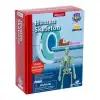 Bilim Seti : İnsan İskeleti - S00028206