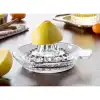 Cam Limon Sıkacağı