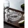 Cam Limon Sıkacağı