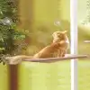 Cama Asılan Kedi Yatağı