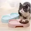 Çift Bölmeli Evcil Hayvan Mama Kabı