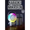 Çift Mikrofonlu Karaoke Mikrofon Bluetooth Bağlantılı Dijital Göstergeli