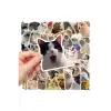 Çılgın Kediler Macbook Notebook Tablet Telefon Ajanda Laptop Defter Sticker Seti