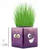 Çim Adam Mini Küp Emoji Figürlü 1 Adet