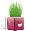 Çim Adam Mini Küp Emoji Figürlü 1 Adet