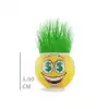 Çim Adam Saksı Emoji Figürlü 1 Adet
