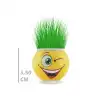 Çim Adam Saksı Emoji Figürlü 1 Adet