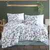 Clasy Ranforce Nevresim Takımı Çift Kişilik Putto V1 Mint