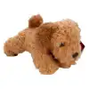 Cockapoo Peluş Köpek 25 cm
