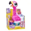 Dans Eden Flamingo LPG00000