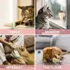 Dondurma Şeklinde Kedi Otu Nanesi