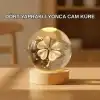 Dört Yapraklı Küre