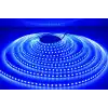 Eco Lounge 5 METRE CATA CT 4484 İç Mekan 12V 10 Çipli Şerit Led Mavi Işık