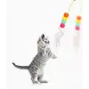 Elastik Kendinden Yapışkanlı Solucan Kedi Oltası Bx40