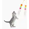 Elastik Yapışkanlı Kedi Oyun Oltası